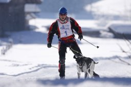 Lenk 2013